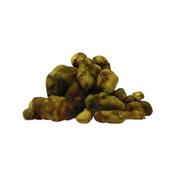 ✅ McSmart Atlantis Magische Truffels (Psilocybe) Smartific.com
