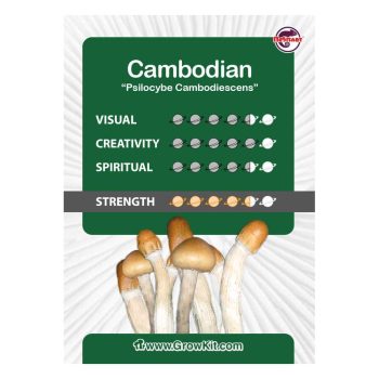 Tabella dei kit di coltivazione Cambodian