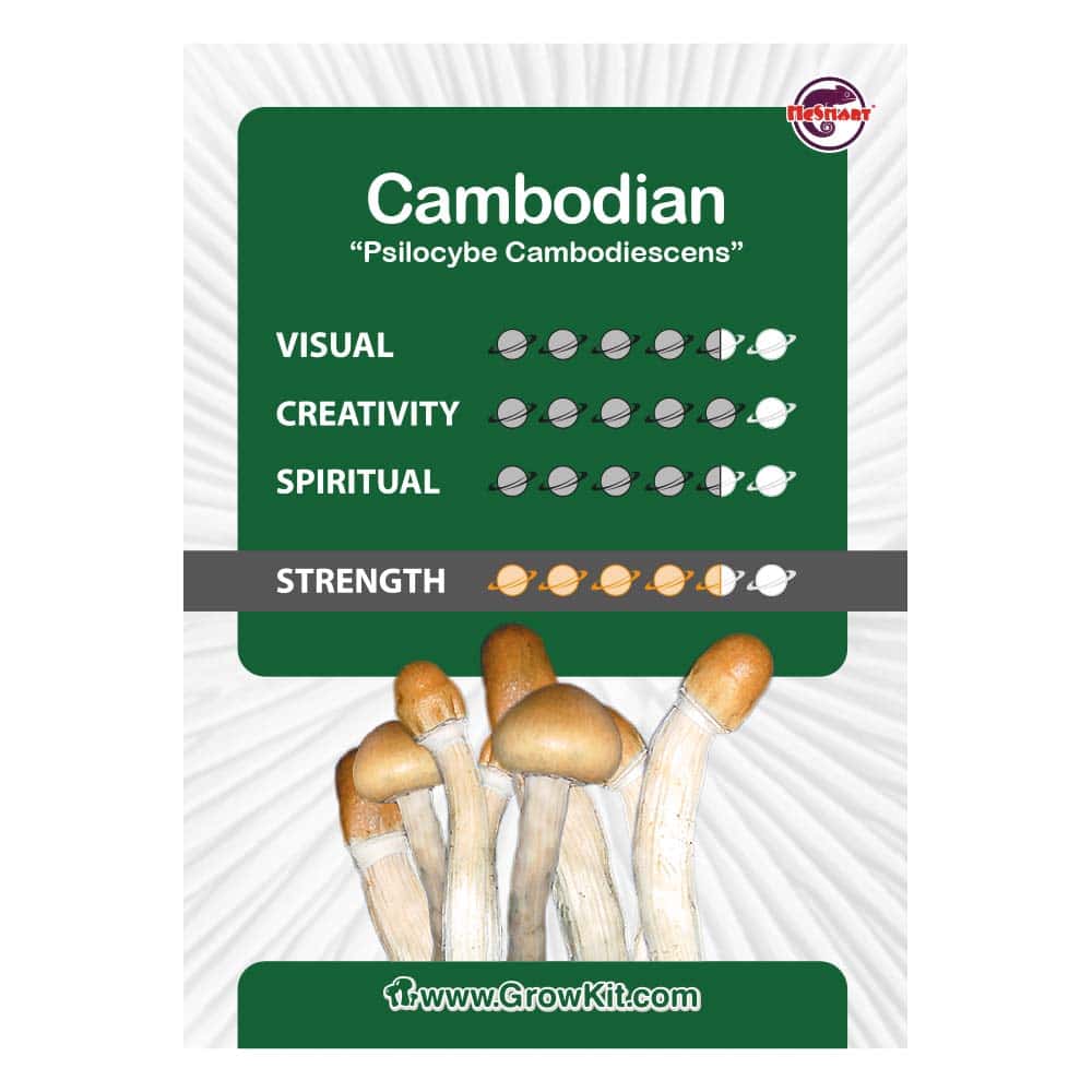Tabella dei kit di coltivazione Cambodian
