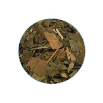 Sommaire du Ginkgo Biloba