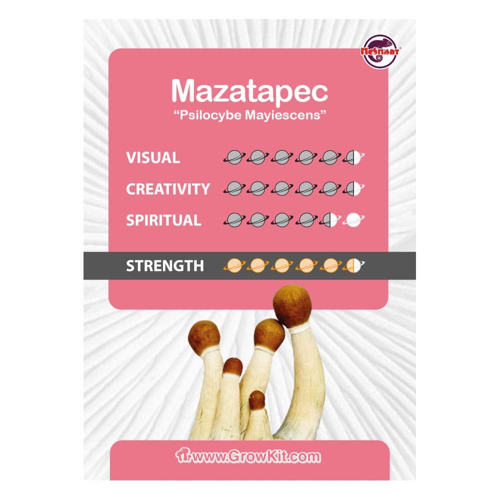 Tableau du kit de culture Mazatapec