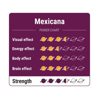 Mexicana