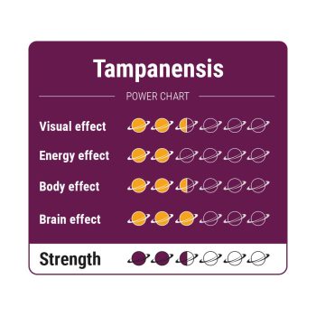Tampanensis