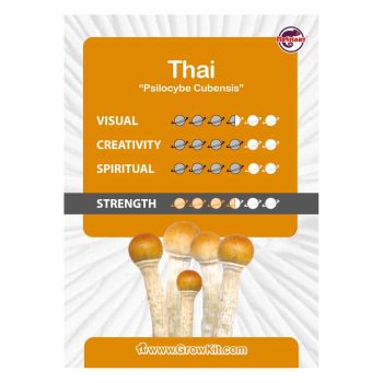 Tableau du kit de culture Thai
