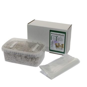 ✅ McSmart Cambodian Paddo Grow Kit (Psilocybe Cambodiescens) 1200cc analyse - Magische Paddo's - Smartific.com