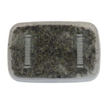 ✅ McSmart Mexican Paddo Grow Kit (Stropharia Cubensis) 1200cc analyse - Magische Paddo's - Smartific.com