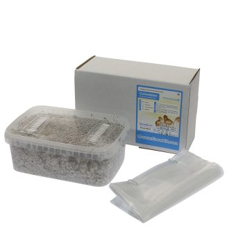 ✅ McSmart Colombian Kit de culture de champignons hallucinogènes (Psilocybe colobiensis) 1 200 cc - Analyse - Champignons magiques - Smartific.com