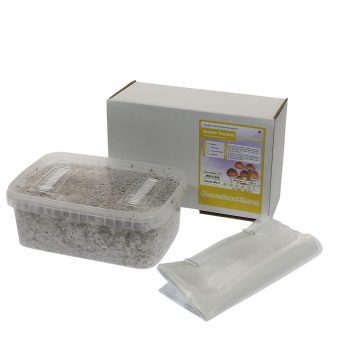 ✅ McSmart Golden Teacher Paddo Grow Kit (Psilocybe Aurumescens) 1200cc analyse - Magische Paddo's - Smartific.com