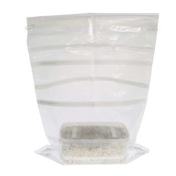 ✅ McSmart Golden Teacher Paddo Grow Kit (Psilocybe Aurumescens) 1200cc analyse - Magische Paddo's - Smartific.com