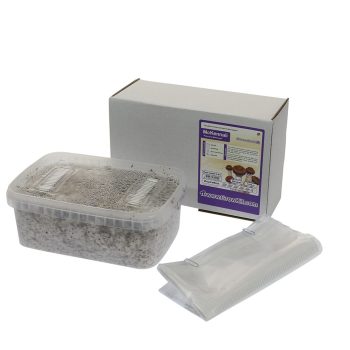 ✅ McSmart McKennaii Kit de culture de champignons hallucinogènes (Psilocybe) 1 200 cc – Analyse - Champignons magiques