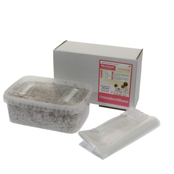 ✅ McSmart Mazatapec Kit di coltivazione di funghi allucinogeni (Psilocybe Mayiescens) 1200 cc - Analisi - Funghi magici - Smartific.com