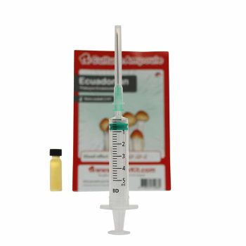 ✅ Culture Ampoule Ecuadorian Sporenspuit(Psilocybe Equaescens) analyse - Magische Paddo's - Smartific.com