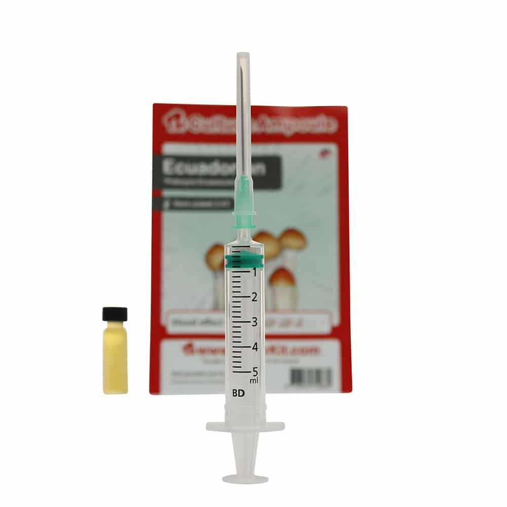 ✅ Culture Ampoule Ecuadorian Sporenspuit(Psilocybe Equaescens) analyse - Magische Paddo's - Smartific.com