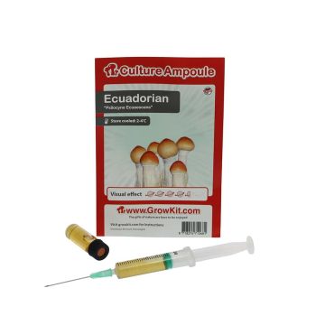 ✅ Culture Ampoule Ecuadorian Sporenspuit(Psilocybe Equaescens) analyse - Magische Paddo's - Smartific.com