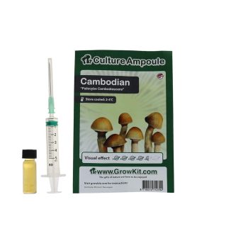 ✅ Culture Ampoule Cambodian Sporenspuit (Psilocybe Cambodiescens) analyse - Magische Paddo's - Smartific.com