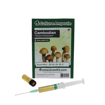 ✅ Análisis de la jeringa de esporas Culture Ampoule Cambodian (Psilocybe cambodiescens) - Setas alucinógenas - Smartific.com
