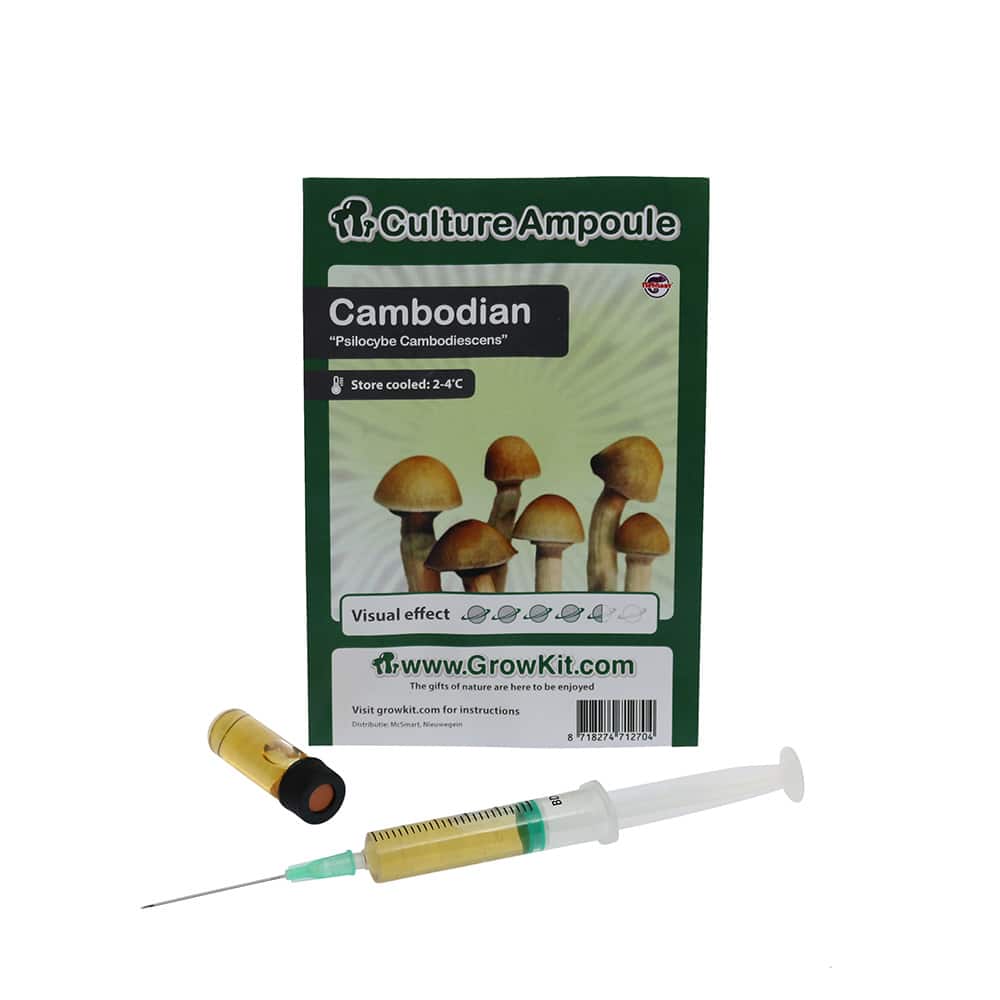 ✅ Análisis de la jeringa de esporas Culture Ampoule Cambodian (Psilocybe cambodiescens) - Setas alucinógenas - Smartific.com