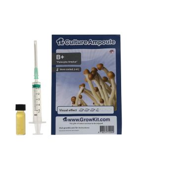 ✅ Culture Ampoule B+ Sporenspuit (Psilocybe Amplus) analyse - Magische Paddo's - Smartific.com