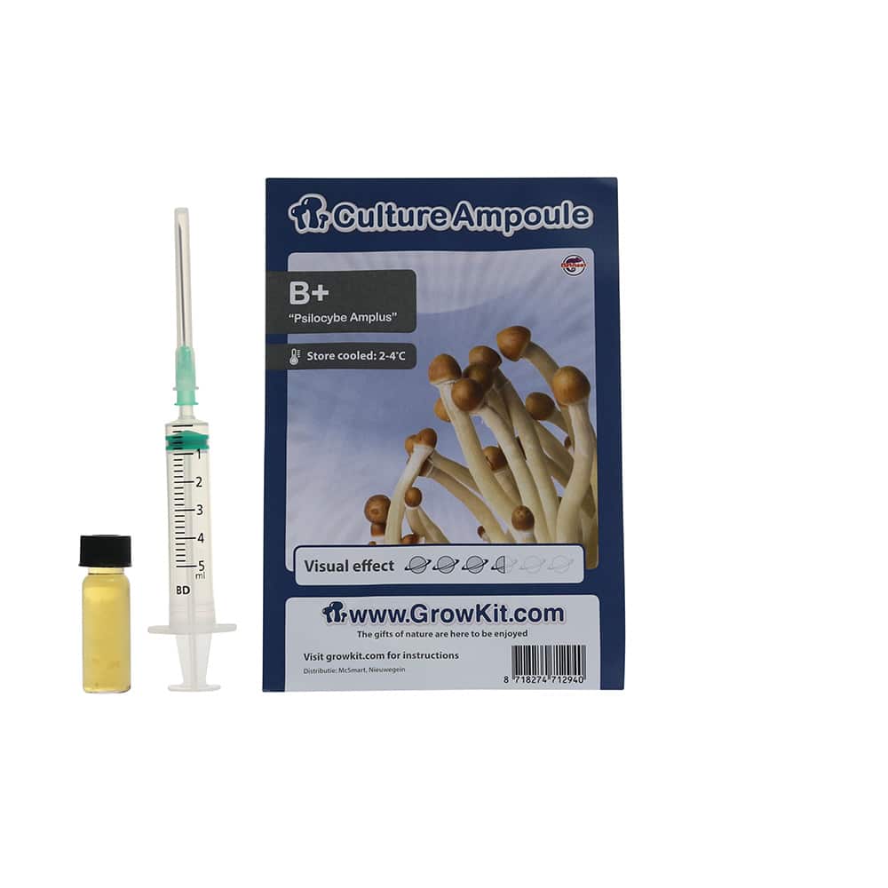 ✅ Culture Ampoule B+ Sporenspuit (Psilocybe Amplus) analyse - Magische Paddo's - Smartific.com