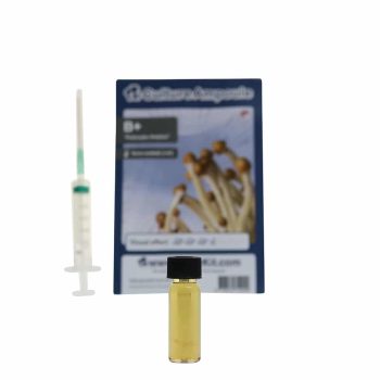 ✅ Culture Ampoule B+ Sporenspuit (Psilocybe Amplus) analyse - Magische Paddo's - Smartific.com