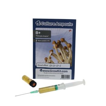 ✅ Culture Ampoule B+ Sporenspuit (Psilocybe Amplus) analyse - Magische Paddo's - Smartific.com