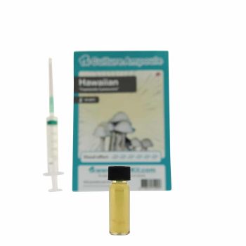 ✅ Culture Ampoule Hawaiian Sporenspuit (Copelandia Cyanescens) analyse - Magische Paddo's - Smartific.com