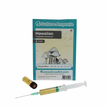✅ Culture Ampoule Hawaiian Sporenspuit (Copelandia Cyanescens) analyse - Magische Paddo's - Smartific.com