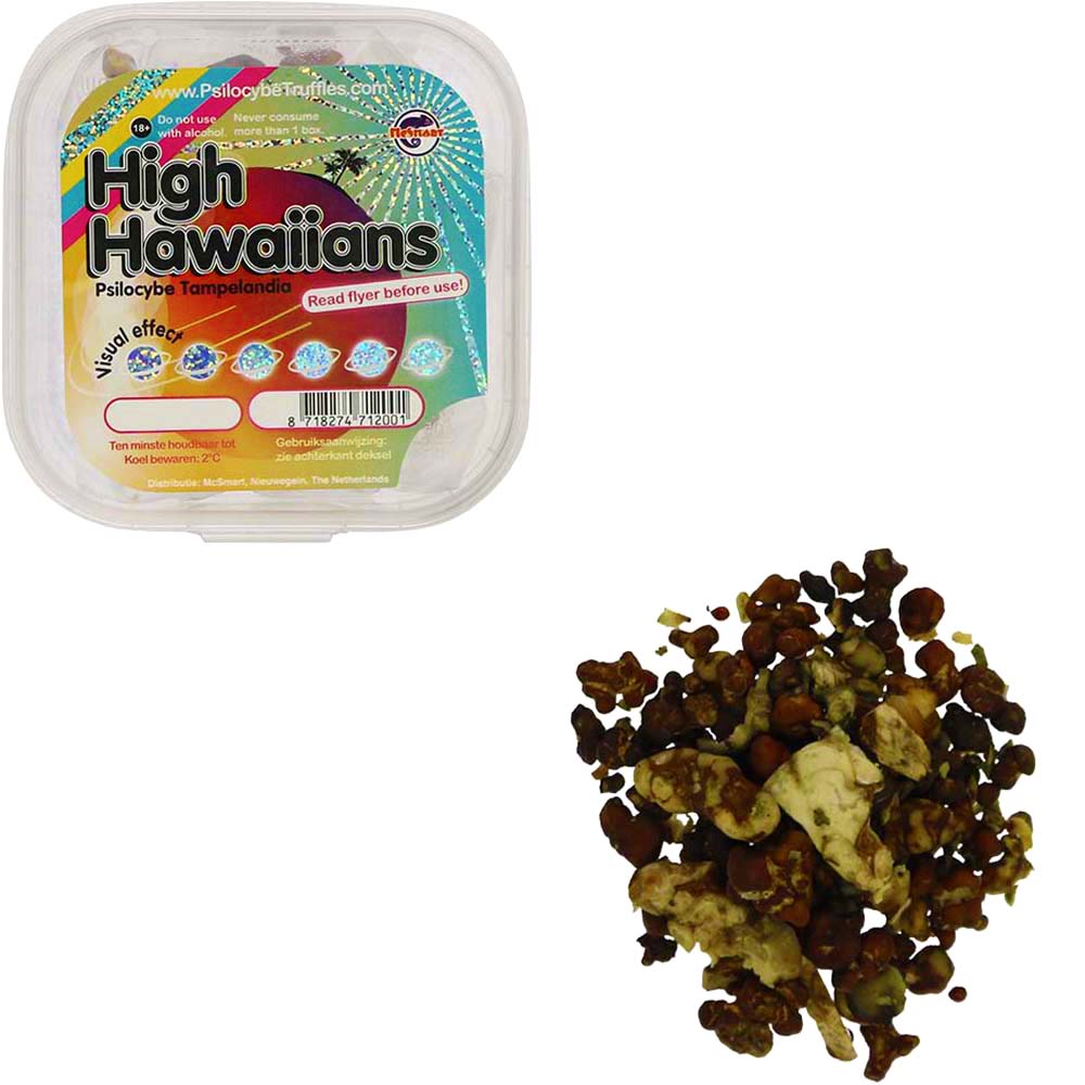 High Hawaiians Psilocybe Tampelandia Magic Truffles