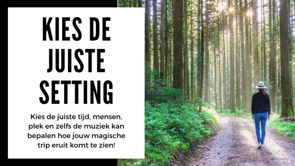 ✅ Conseils pour les débutants – Choisissez le bon cadre – Préparez-vous à votre premier trip aux champignons ou aux truffes magiques – Smaritifc
