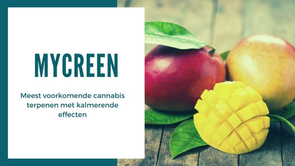 ✅ Der ultimative Leitfaden zu Terpenen – Mycreen – Smartific