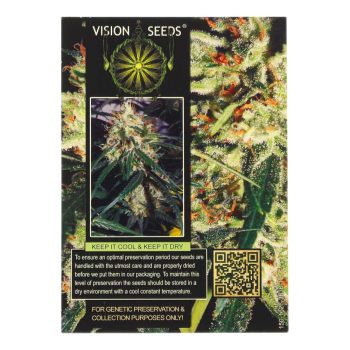 ? Vision Seeds Wietzaadjes Auto DELHI CHEESE Smartific 2014194/2014193