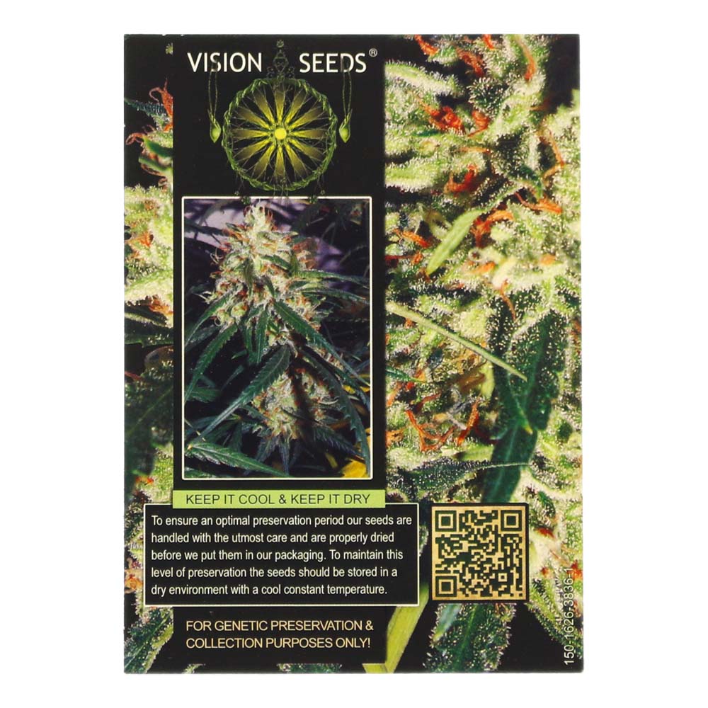 ? Vision Seeds Wietzaadjes Auto DELHI CHEESE Smartific 2014194/2014193