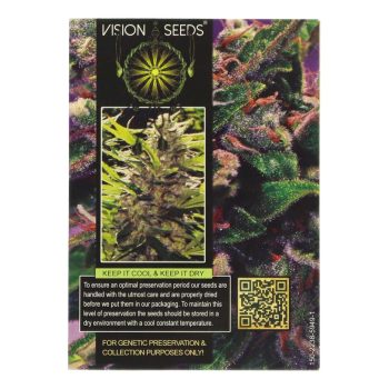 ? Vision Seeds Wietzaadjes Auto LA BLANCA GOLD Smartific 2014196/2014195