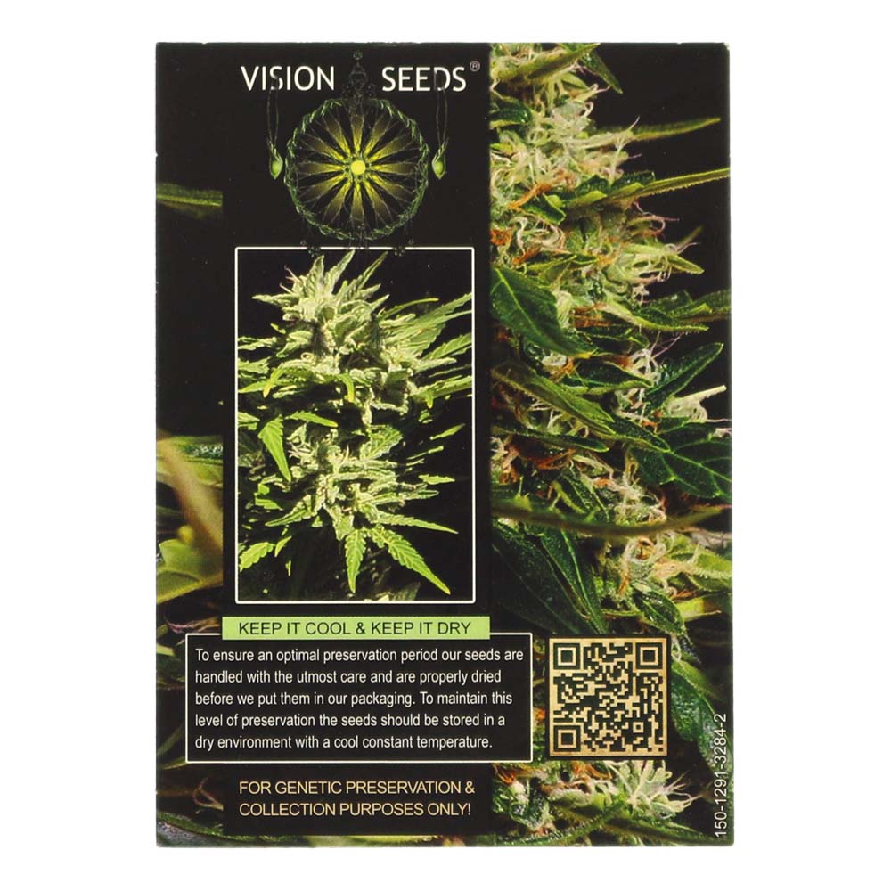 Vision Seeds Autoflower Super Skunk Seeds