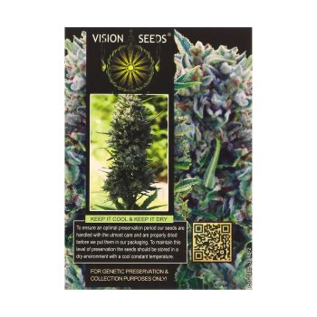 ? Vision Seeds Gefeminiseerd Wietzaadjes AK-49 Smartific 2014218/2014217