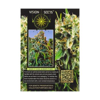 ? Vision Seeds Gefeminiseerd Wietzaadjes AMNESIA Smartific 2014220/2014219