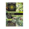 ? Vision Seeds Gefeminiseerd Wietzaadjes BIG BUD Smartific 2014224/2014223