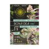 ? Vision Seeds Gefeminiseerd Wietzaadjes BONA DEA (CBD+) Smartific 2014228/2014227