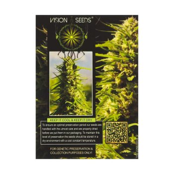 ? Vision Seeds Feminizada Wietzaadjes CRITICAL IMPACT Smartific 2014238/2014237