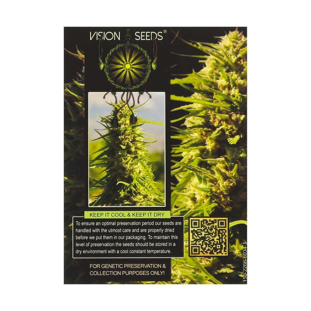 ? Vision Seeds Feminizada Wietzaadjes CRITICAL IMPACT Smartific 2014238/2014237