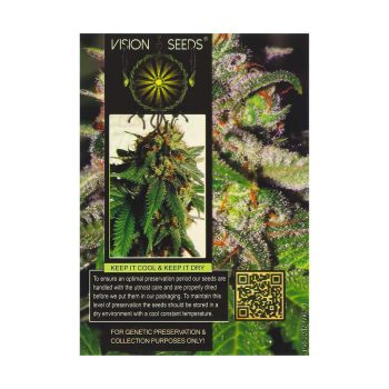 ? Vision Seeds Gefeminiseerd Wietzaadjes DOCTOR JAMAICA Smartific 2014244/2014243