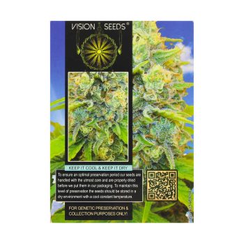 ? Vision Seeds Gefeminiseerd Wietzaadjes MEDICAL 49 (CBD+) Smartific 2014252/2014251