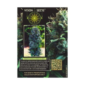 Vision Seeds Feminized Weed Seeds SILVER HAZE Smartific 2014266/2014265