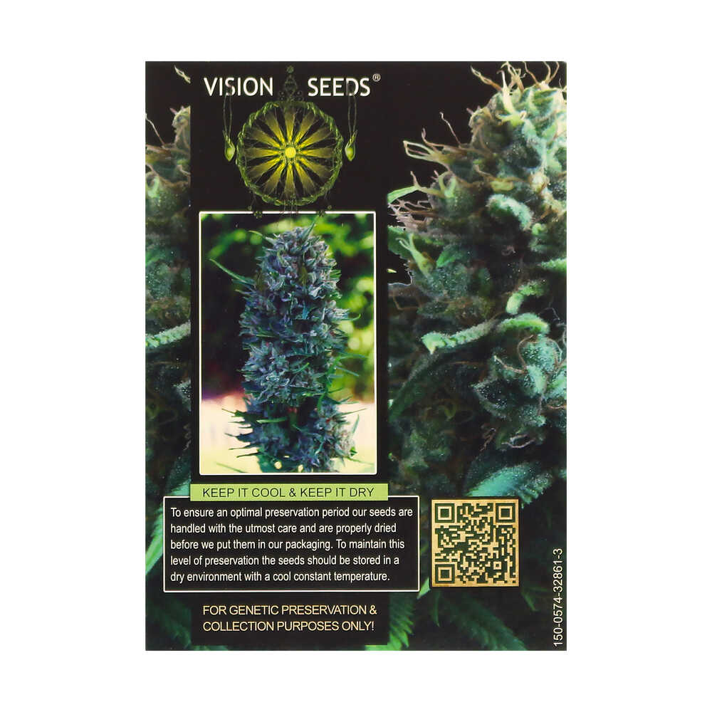 Vision Seeds Feminized Weed Seeds SILVER HAZE Smartific 2014266/2014265