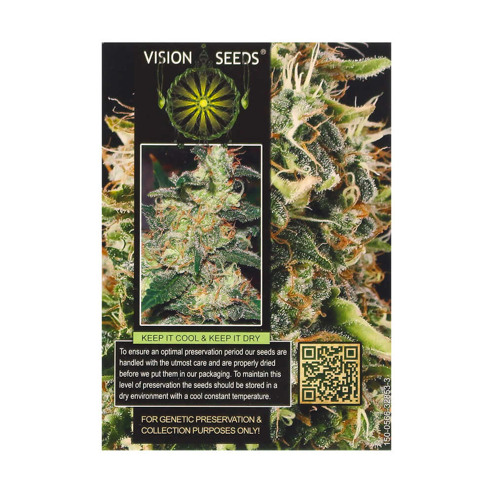 Vision Seeds Feminized Weed Seeds SUPER SKUNK Smartific 2014268/2014267