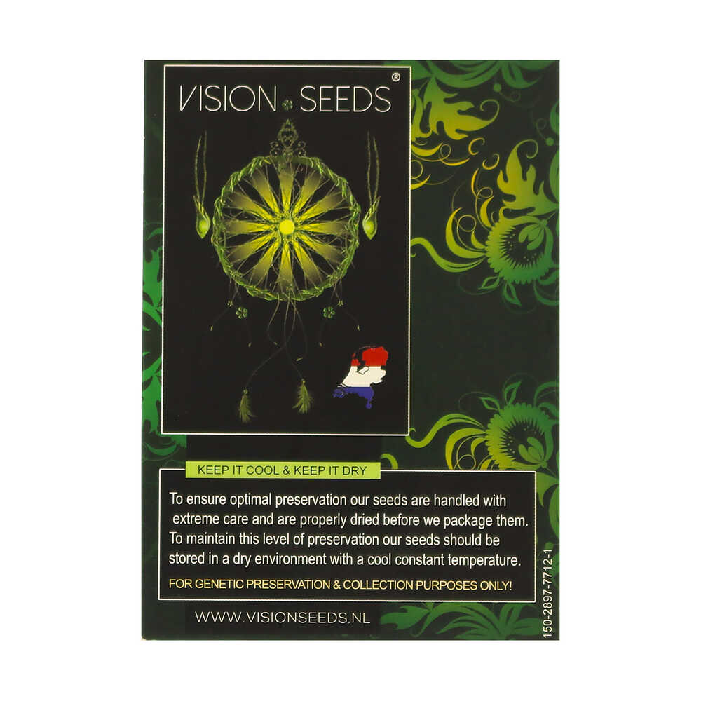 ? Vision Seeds Femminizzata Wietzaadjes WEDDING CAKE X TRIPLE OG Smartific 2014280/2014279