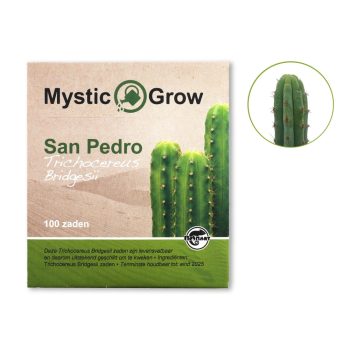 Bridgesii 100 semillas, vista frontal + contenido McMystic
