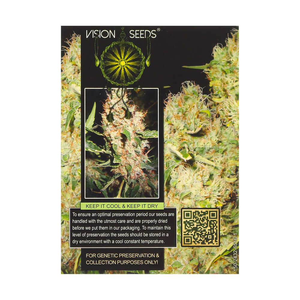 ? Vision Seeds Femminizzata Wietzaadjes NORTHERN LIGHTS Smartific 2014258/2014257