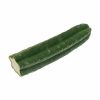 ? San Pedro Cactus Pachanoi (25 cm) Smartific 60011 mcs