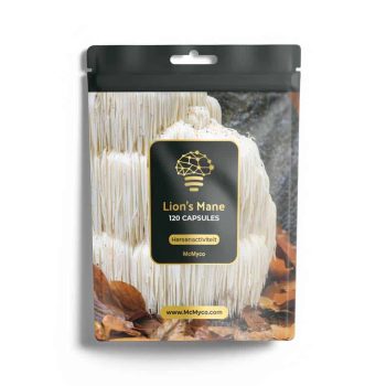 McMyco Maquette « Lions Mane »